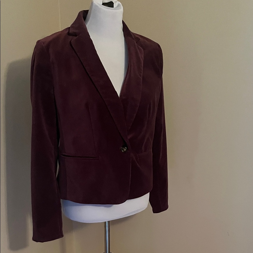 Ann Taylor Deep Burgundy Velvet Blazer